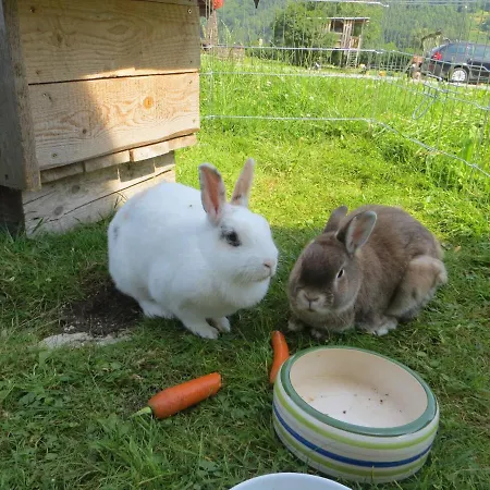 Apartamento Beim Broi Inkl Chiemgau-karte Ruhpolding